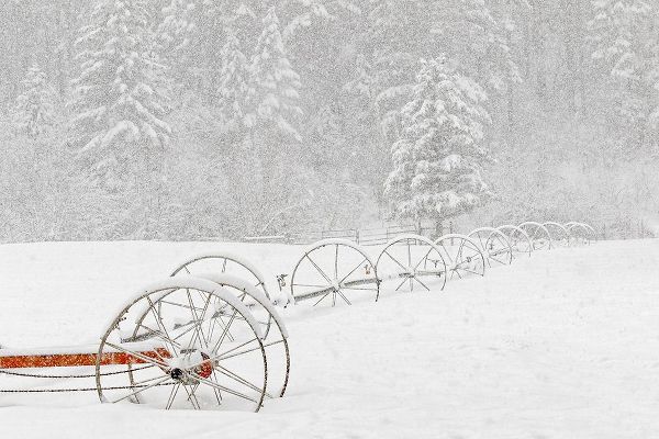 Irrigation sprinkler system in winter snowstorm-Kalispell-Montana